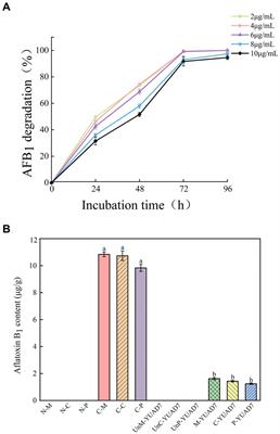 Screening and identification of an aflatoxin B1-degrading strain from the Qinghai-Tibet Plateau and biodegradation products analysis